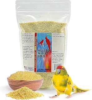 Morning Bird Hulled Millet 1.5 lb – Nutritious Hulled Millet Seed, Easily Digestible with High Fiber, Rich in Vitamins and Supplements for Birds, Ideal Bird Feed for All Bird Types.