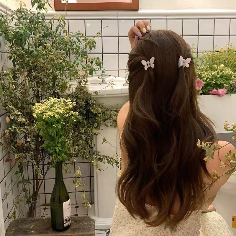 Butterfly High Ponytail Small Catch Clip Side High-End Feeling Back Head Shark Hair Hairpin Female Korean